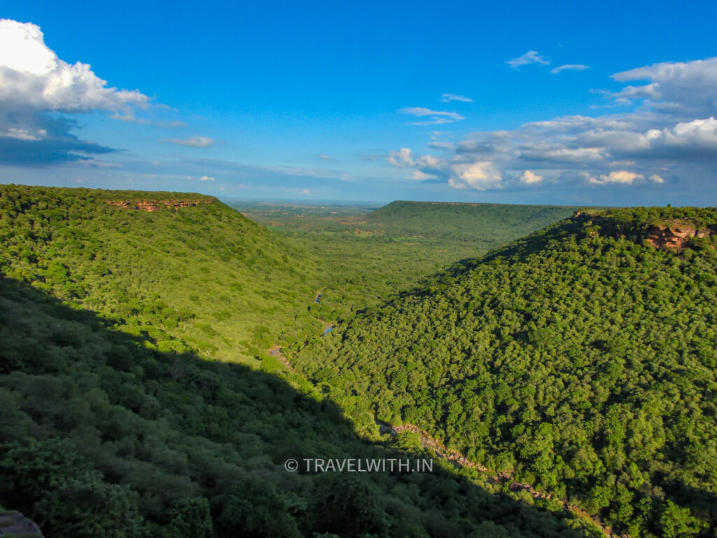 kaila-devi-wildlife-sanctuary-forest-travelwith