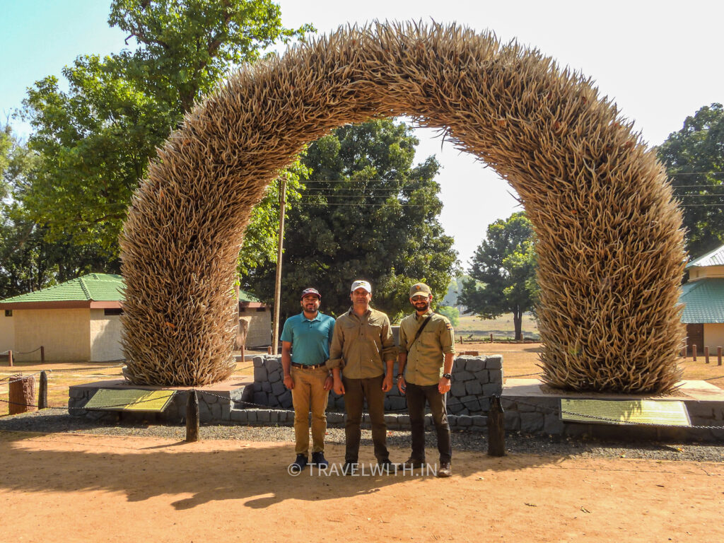 kanha-national-park-deer-antlers-travelwith.jog