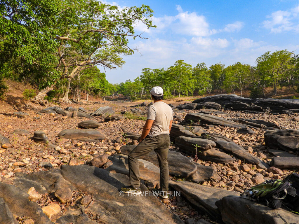 kanha-national-park-walking-safari-travelwith