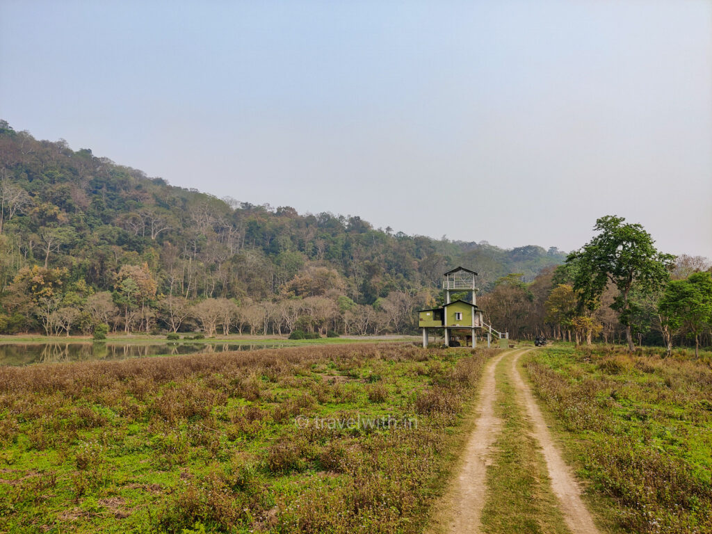 kaziranga-safari-in-burapahar-travelwith