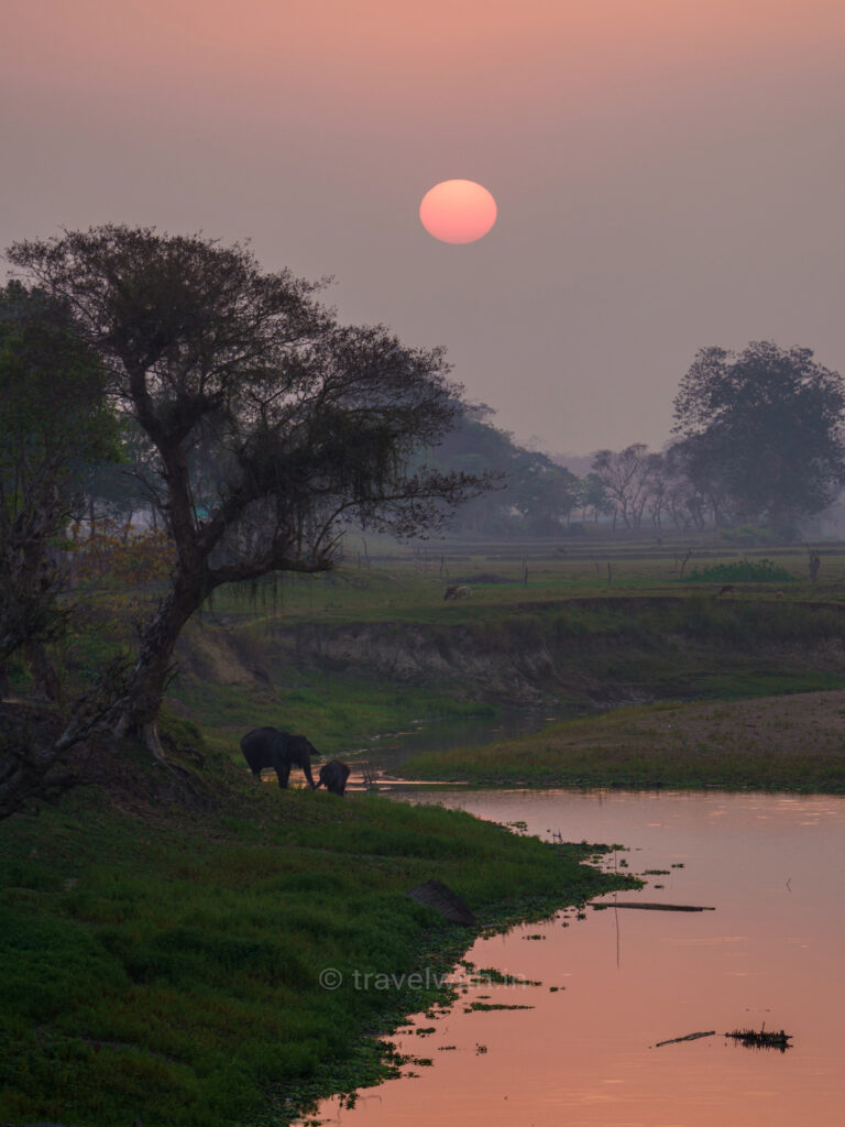 kaziranga-sunset-safari-travelwith