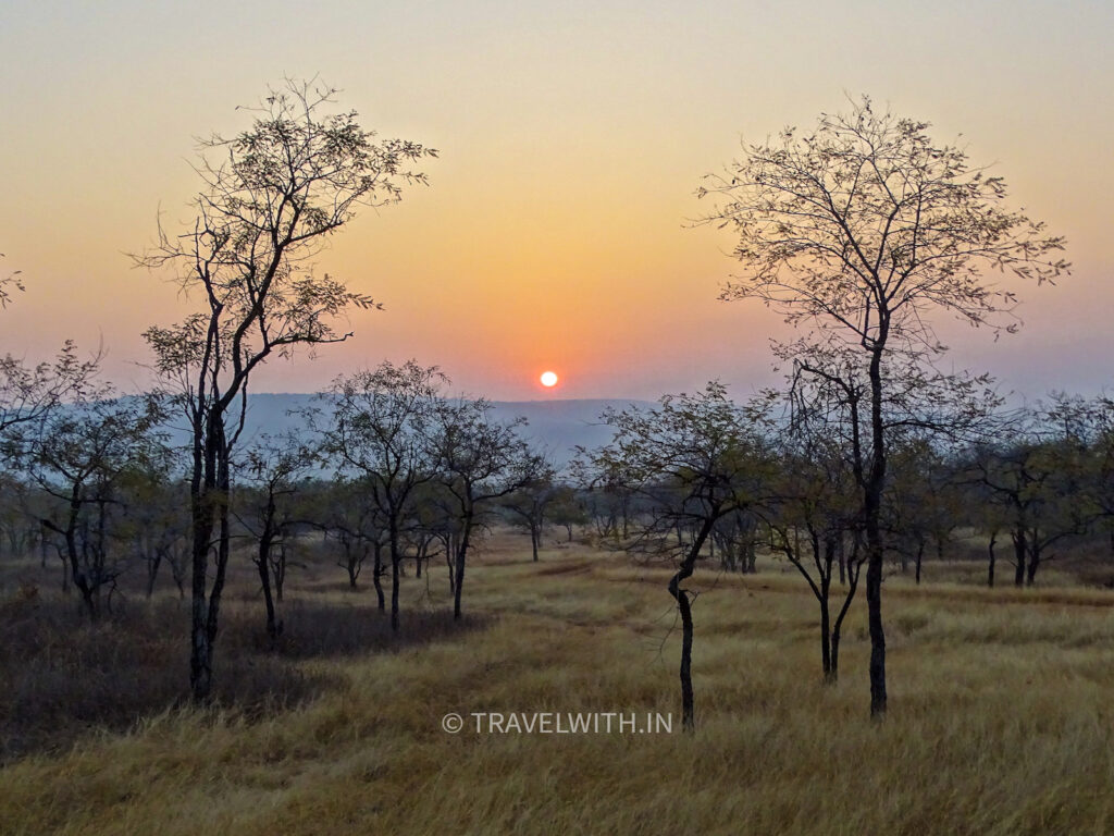 panna-national-park-jeep-safari-sunrise-travelwith