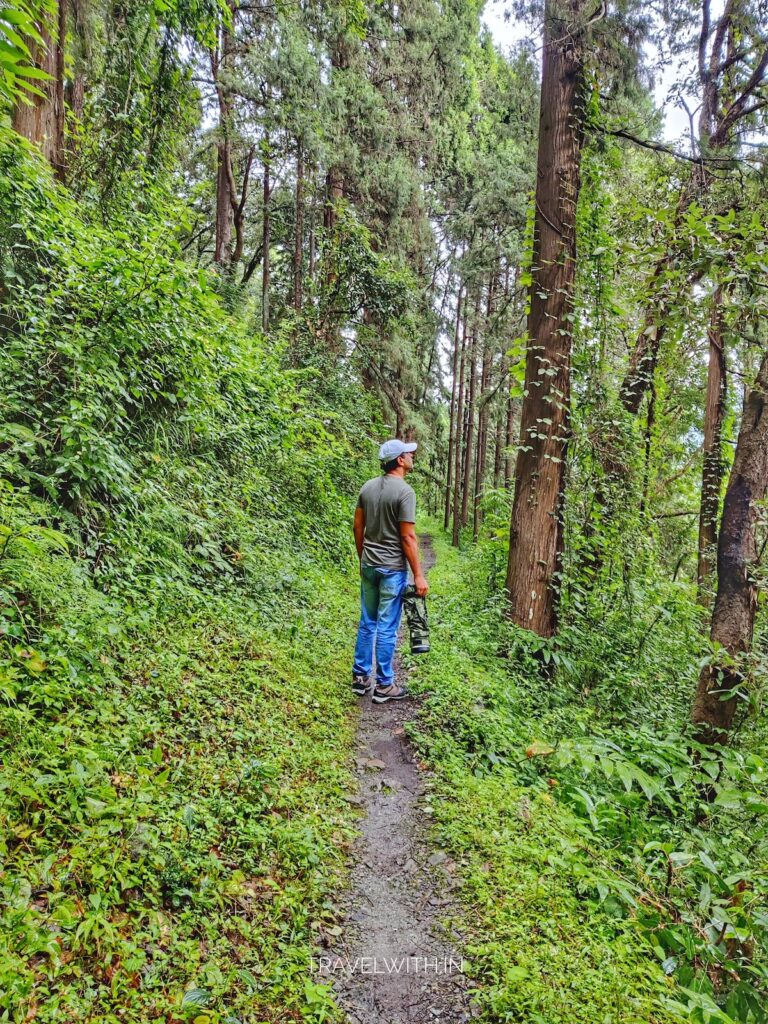 sattal-guided-birdwatching-tour-nature-trails-travelwith