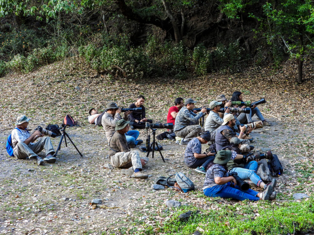 sattal-studio-point-birdwatcher-paradise-travelwith