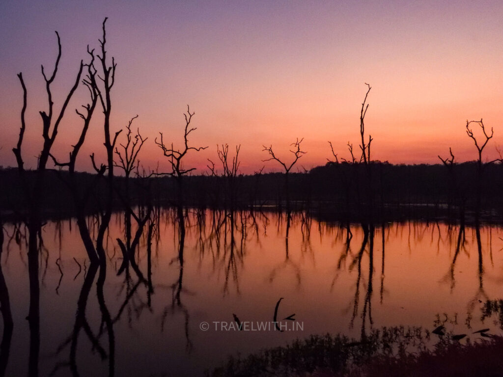 barnawpara-wildlife-sanctuary-chhattisgarh-jeep-safari-travelwith