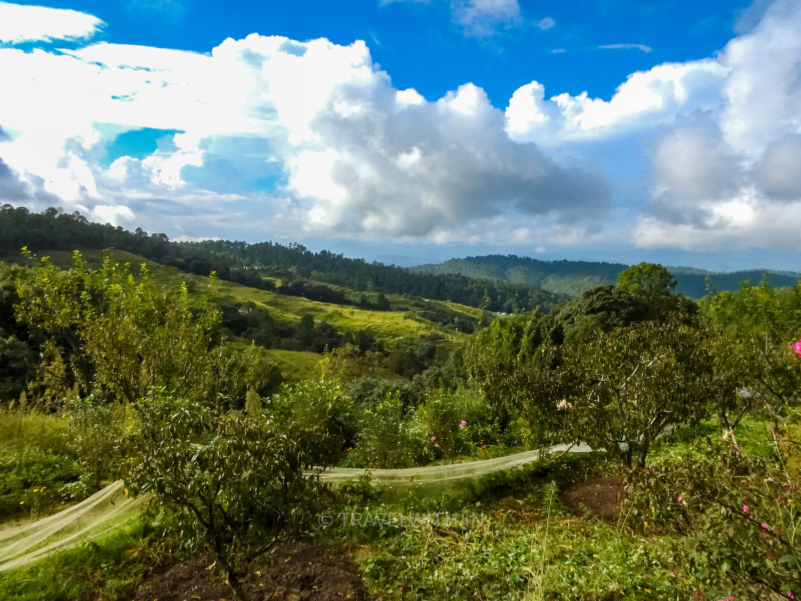 chaubatia-garden-orchards-ranikhet-uttarakhand-travelwith