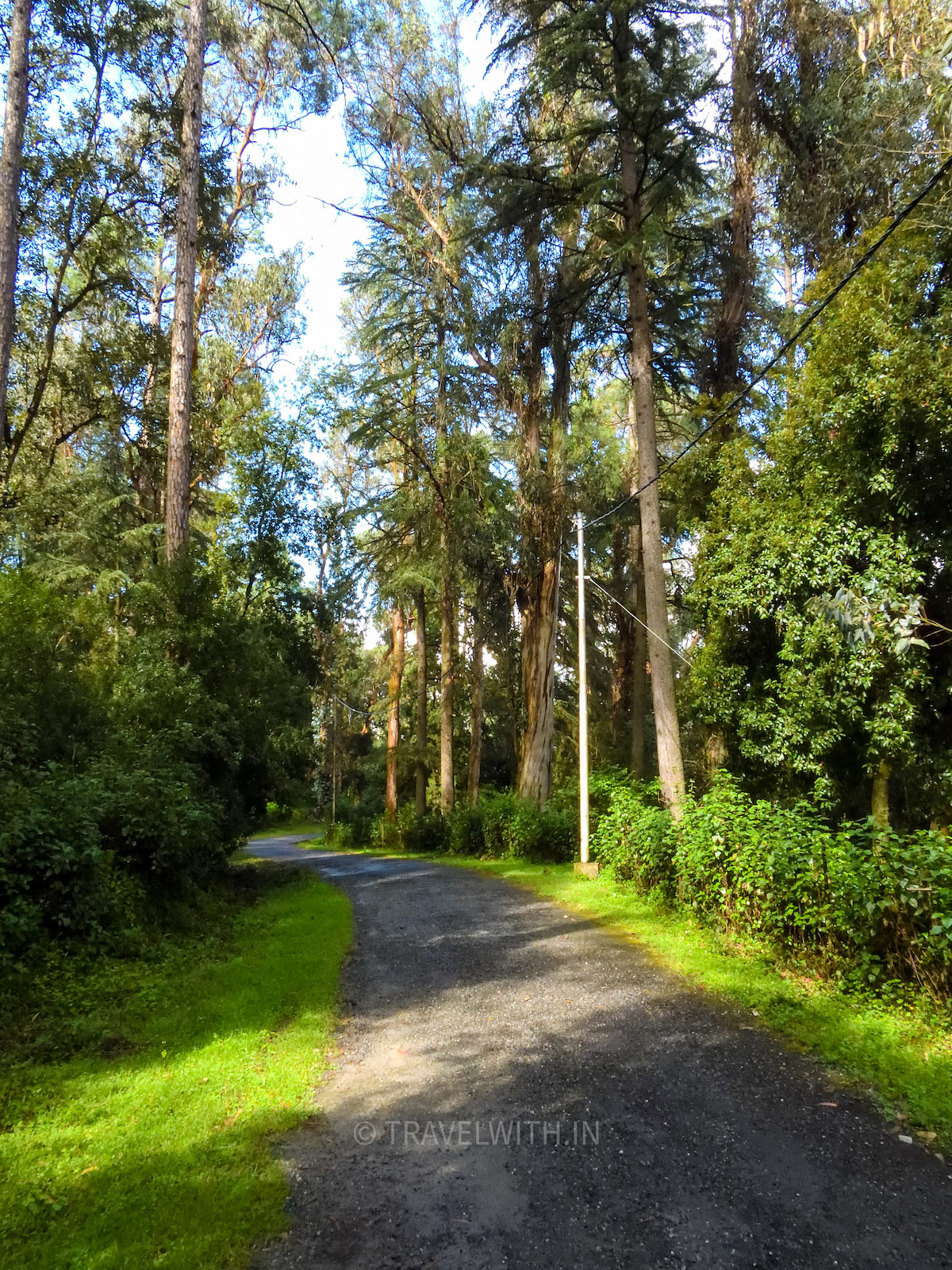 ranikhet-cantonment-pedestrian-friendly-colonial-bungalows-travelwith